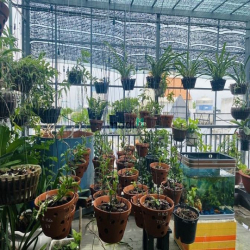 Bán nhà Tân Bình HXH Trường Chinh 4 tầng 4m x 15m chỉ 5.xx tỷ