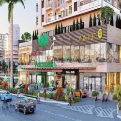 Đầu tư Shophouse Lãi 40tr/tháng, Giá 3 tỷ/110m2