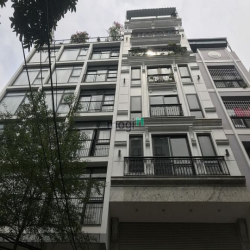 BÁN ĐẤT Mặt Ngõ Hồ Tùng Mậu 150M2, MT 15M, 15 TỶ