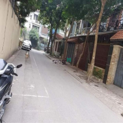 Bán Biệt Thự Vip phố Trần Bình, Cầu Giấy.