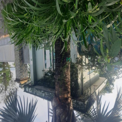 Biệt Thự 5000m2 trên 30 tỷ Ba Sa  Phước Hiệp Củ Chi TPHCM - Bán Gấp