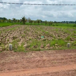 🏜️ Còn lô duy nhất mặt tiền sỏi đỏ Trí Bình, Châu Thành  ➡Đường thông