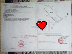 Cho thuê đất sổ đỏ cách mặt tiền đường 50m, phường An Phú Đông Quận 12