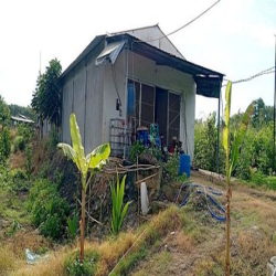 Bán vườn Mít ruột đỏ 6628m, xã Tây Hòa, huyện Trảng Bom