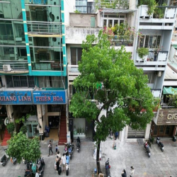 Kẹt nợ bán nhà mặt tiền 315 Lý Tự Trọng, quận 1, DT 4x20m, 2 lầu, giá