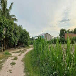 Chính chủ gửi lô đất vườn 8600m2 ở Trí Bình Châu Thành chỉ 550tr