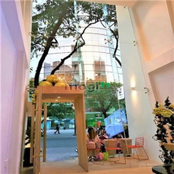 Bán Nhà Mặt Tiền Đường Hồ Tùng Mậu, Bến Nghé, Quận 1, (150m2) Gía 66Tỷ