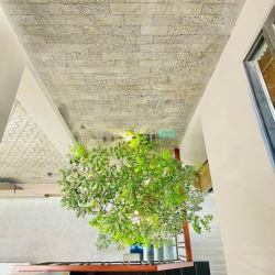 Nhà xinh! Sát mặt tiền Chu Văn An Bình Thạnh 84m2 (6x14m) chỉ 8,89 tỷ