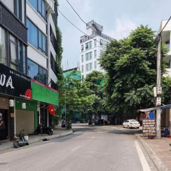 Mặt phố Linh Lang ngã 4 Phan kế Bính. 80m2 MT khủng 6m. GPXD 8 tầng