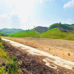 Hơn 530m2 đất Khánh Nam chỉ 250tr