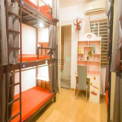 KTX Cao Cấp Trung Tâm Q.1, 3, 5,7,10