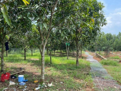 Cần bán 1102m phủ hồng sẵn 100m thổ cư gần Pano Glamp view hồ Trị An