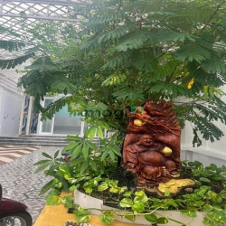 Biệt Thự Mới 336m2 Hẻm Xe Tải - Gần Chợ Hóc Môn - Giá Chỉ 21tr/m2