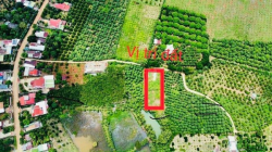 Cần bán 1102m phủ hồng sẵn 100m thổ cư gần Pano Glamp view hồ Trị An