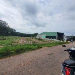 ĐÃ TÌM RA chiếc đất đang bán tại Phước Thạnh Gò Dầu 510tr