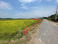 NGỘP BANK BÁN Gấp 150m2 xã Long Khánh Bến Cầu chỉ 460tr SHR