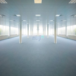 VP view đẹp hợp team 20 người sẵn phòng pantry tại Sơn Trà - Mizuland