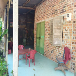 Đất vườn Củ Chi hơn 6000m2 cho thuê – 5 triệu/tháng