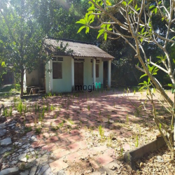 Đất vườn Củ Chi hơn 6000m2 cho thuê – 5 triệu/tháng