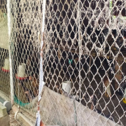 Đất vườn Củ Chi hơn 6000m2 cho thuê – 5 triệu/tháng