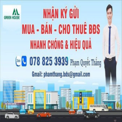 Bán biệt thự Phú Mỹ Hưng, khu Nam Viên, Quận 7