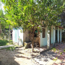 Đất vườn Củ Chi hơn 6000m2 cho thuê – 5 triệu/tháng