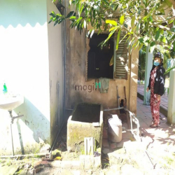 Đất vườn Củ Chi hơn 6000m2 cho thuê – 5 triệu/tháng