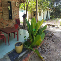 Đất vườn Củ Chi hơn 6000m2 cho thuê – 5 triệu/tháng