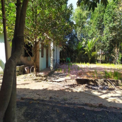 Đất vườn Củ Chi hơn 6000m2 cho thuê – 5 triệu/tháng