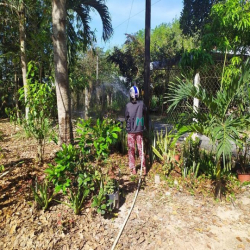 Đất vườn Củ Chi hơn 6000m2 cho thuê – 5 triệu/tháng