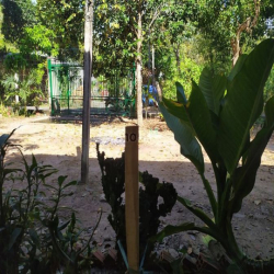 Đất vườn Củ Chi hơn 6000m2 cho thuê – 5 triệu/tháng