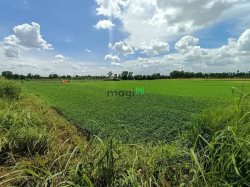 BÁN ĐẤT GIÁ RẺ, TM Sông Cầu Sáng, Tân Hiệp Hóc Môn 7260m2 CHỈ 18 Tỷ TL