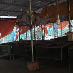 Đất vườn Củ Chi hơn 6000m2 cho thuê – 5 triệu/tháng