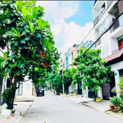Bán nhà rộng khu Biệt thự Làng Hoa (5x17) 152/2/14 Nguyễn Văn Khối P9