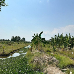 Bán 1,2ha đất nông nghiệp Lê Minh Xuân, Bình Chánh