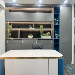 Văn phòng sala Serina giá cho thuê 85 triệu ngang 8m