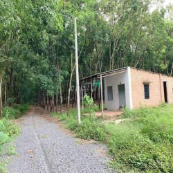 Đất nền Châu Thành Tây Ninh Giá 390tr full thổ cư,sổ riêng từng nền