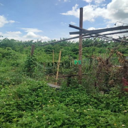 1700m² đất nông nghiệp xã Đông thạnh Hóc Môn giá 4,5 tỷ