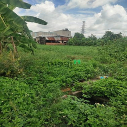 1700m² đất nông nghiệp xã Đông thạnh Hóc Môn giá 4,5 tỷ