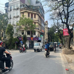 Bán nhà kinh doanh mặt phố Trần Khánh Dư - Hai Bà Trưng, LÔ GÓC, 202m2