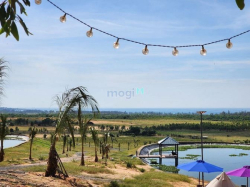 Nợ ngân hàng bán gấp lô đất view biển 4717m2 Tuy Phong,kế bên farmstay