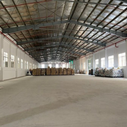 Cho thuê kho xưởng giá tốt 1200m2 tại đường Tỉnh Lộ 10, quận Bình Tân.