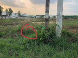 Bán đất 3MT An Điền, Bến Cát, DT:133x147, SHR, giá 5triệu/m2(103,76tỷ)