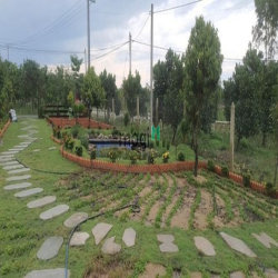 Bán Gấp Lô Đất Vườn 15mx 66m, Định Quán, Đồng Nai, Sổ Sẵn.