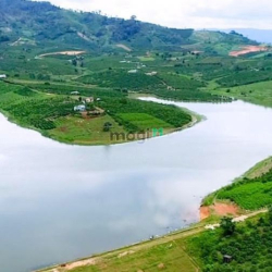 Bán đất nghỉ dưỡng mặt Hồ Lâm Bô - Phúc Thọ - Lâm Hà