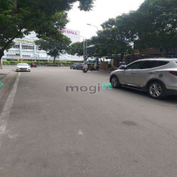 Kho Đẹp MT Tân Kỳ Tân Quy,Q Tân Phú_8x20m