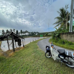 Thua cá độ bán liền lô đất tại TX.Trảng Bàng Tây Ninh giá deal 490tr