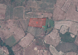 20.000m2 Đất Hàm Thuận Bắc ngay QL1A, mặt tiền 190m- giá 190k/m2 – SHR