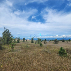 Tôi đang có lô đất diện tích 4156m2 ở Xã Hòa Thắng, huyện Bắc Bình