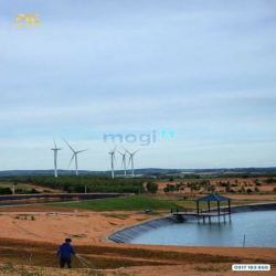 Cần bán đất Tuy Phong BT 6900m2 ngay QL1A view biển giá chỉ 390k/m2
